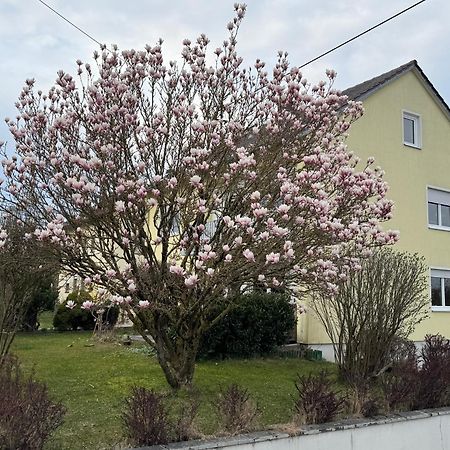 W&P Living Wohnung Mit Ausblick - Parkplatz Biberbach  Bagian luar foto