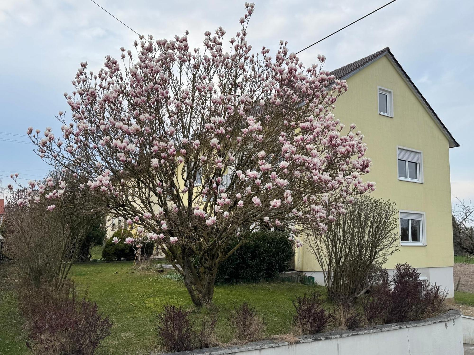 W&P Living Wohnung Mit Ausblick - Parkplatz Biberbach  Bagian luar foto